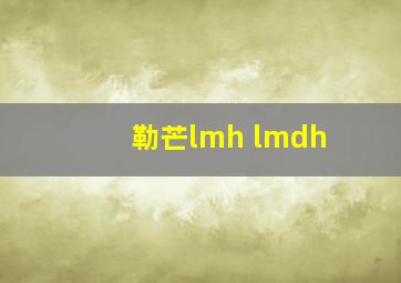 勒芒lmh lmdh